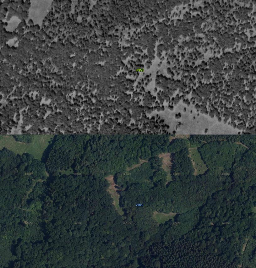 Tak vznikla tvrdá hranice striktně oddělující les a bezlesí a dnes si už ani neuvědomujeme, jak umělá a nová tato hranice je.