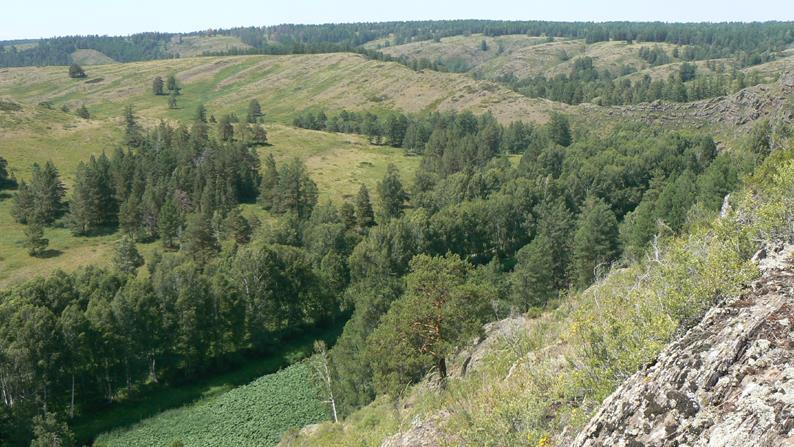 Krajina jižního Uralu při pohledu zblízka.