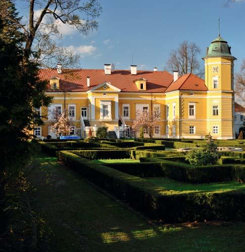 8 Pivovar Mayzus Chotoviny Pivovar byl vybudován v roce 2011 Sergejem Mayzusem v prostorách zámku Chotoviny, který patřil v 19. století rodu Nádherných.
