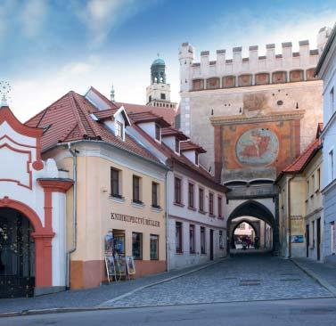 Vyráběná piva: světlý ležák 11 nefiltrované a nepasterizované pivo; světlý ležák 12 nefiltrované a nepasterizované pivo; IPA světlé pivo 13 ; Bradáček 13 polotmavý ležák a English RED ALE 14,3