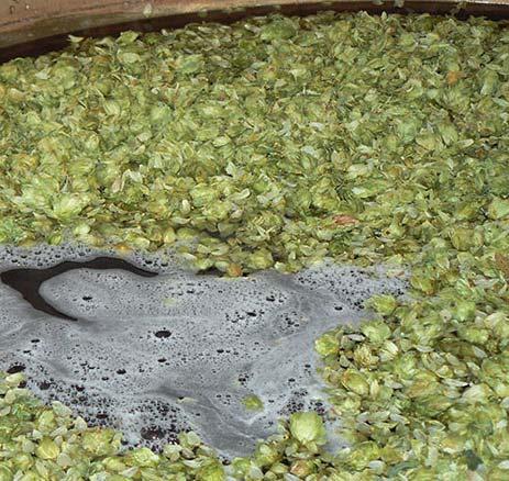Vyráběná piva: Žumberk světlý ležák 11 ; polotmavý speciál 13 ; tmavý speciál Černá mamba 14 ; světlý speciál India Pale Ale 16 ; vánoční speciál polotmavý 13 pouze sezónně Kde ochutnat a nakoupit: