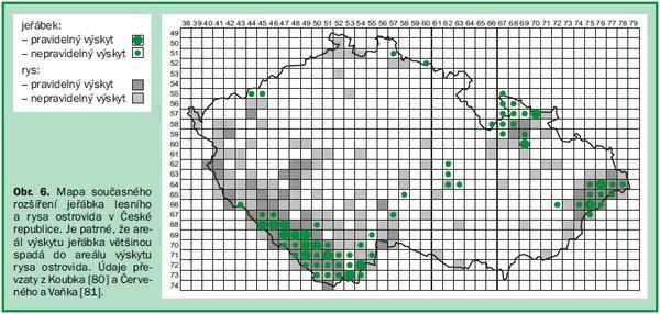 Geoinformatika