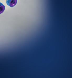 SI joint HA-coating aids in bony ongrowth Dual lead threads for faster insertion Fluted for easier