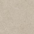 Grey 60 60 cm