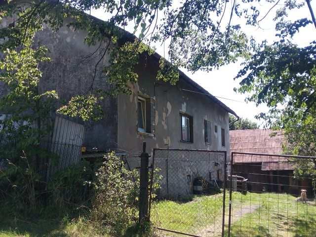 Pořízená