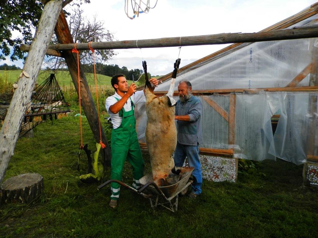 Nariadenie vlády č. 359/2011 z 19.