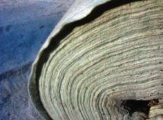 4. REALIZACE A ÚDRŽBA Realizace vegetačních souvrství z hydrofilní minerální vlny je podobné jako realizace skladeb se