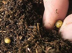 Používá se většinou u šikmých vegetačních střech, nebo u plochých střech, kde je nutné mít střechu zelenou
