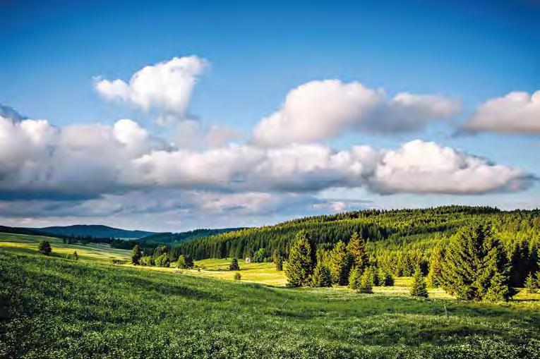 Krušné hory jsou v létě výborným místem pro turistiku, nordic walking nebo jízdu na kole. V zimě se návštěvníkům otevírají četná lyžařská střediska.