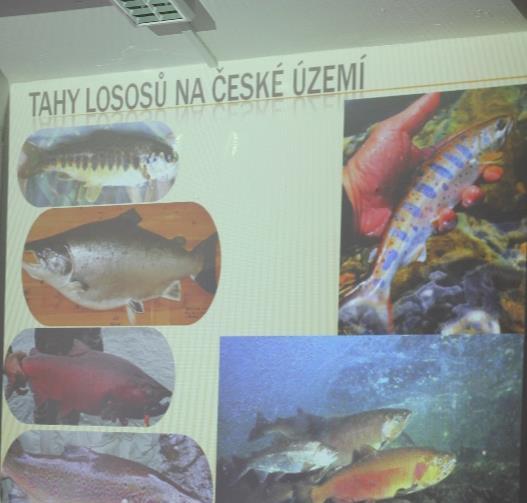 V letošním školním roce pak i Střediska ekologické výchovy na Horské Kvildě.