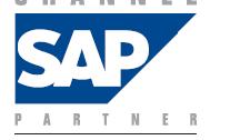 Společnost IDS Scheer Certifikáty a ocenění SAP Global Partner SAP Channel Partner Gold SAP Alliance Partner SAP CRM Partner SAP NetWeaver Partner pro ČR SAP Pinnacle Award 2008, 2009 certifikace SAP