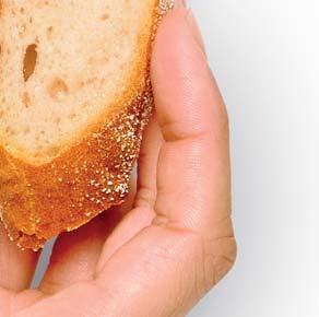 turecký chléb na podávání 2 stroužky česneku 3 rozpůlená oválná rajčata bez semínek ½ malé červené cibule nasekané nahrubo 1 čerstvá chilli paprička jalapeňos bez