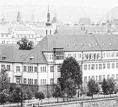 Kdyby byl pan Čižinský pohotovější, mohl lehce kontrovat otázkou, zda si naopak pan starosta Prahy 1 už zkontroloval Karlův most, aby z něho nespadl do Vltavy další umělec.