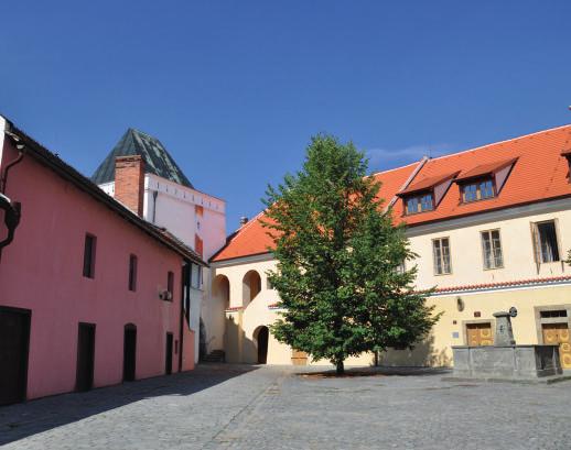 Dům U Jonáše (čp. 50) je nejobdivovanější barokní památkou Pardubic. Jeho průčelí zdobí plastický reliéf s postavou biblického proroka Jonáše v tlamě velryby.