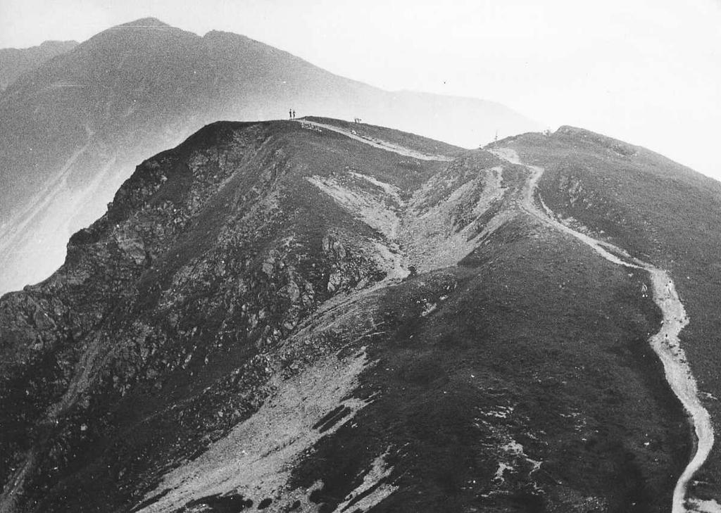 creep : Nemčok, Pašek & Rybář (1972) sliding : flow : fall 3) LOOSENING OF SLOPE BY DEEP SEATED CREEP OF HIGH MOUNTAIN