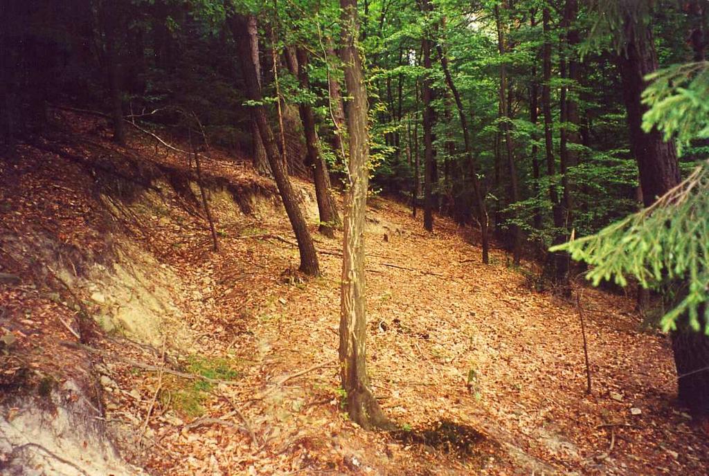 LANDSLIDES IN SOILS, PLANAR