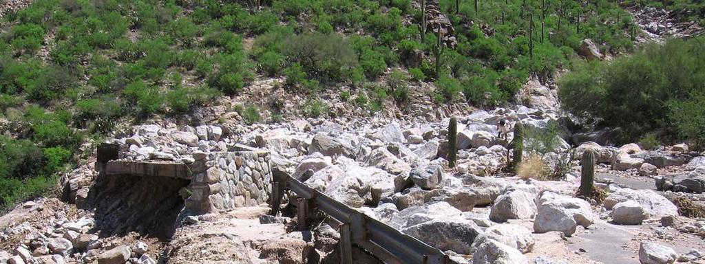 16) FLOW OF SILTY SOILS AND DEBRIS DUE TO