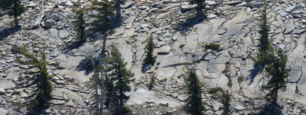 OF THE ROCKS IN THE VALLEY SLOPE BY CRACKS