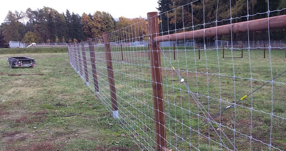 91 Oborní Palisády a farmové a půlpalisády ploty farmové chovy jelenovitých obory pro zvěř výběhy pro velká zvířata (zubr, bizon
