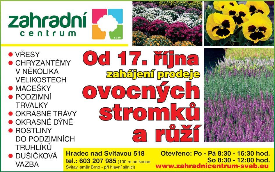 obchodních zástupců. ten den, z pohodlí Vašeho domova.