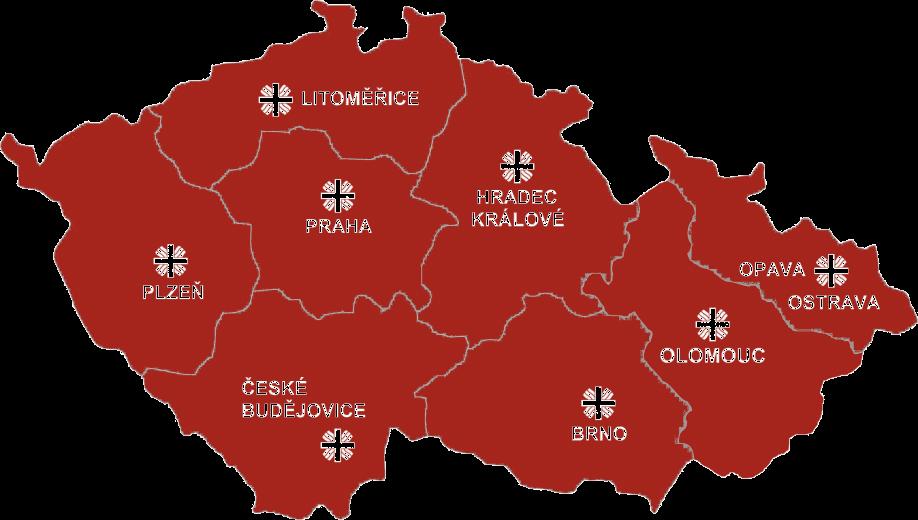 Martin Zamazal charitní subjekty v ČR činily 2,843 mld. korun. V Charitách, jejich zařízeních a střediscích pracovalo v roce 2012 celkem 6937 osob.