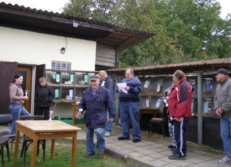 V letošním roce bylo uděleno 26 čestných cen. Z toho 6 čestných cen obdrželi členové ZO Radostice, a to 3 na králíky, 2 na drůbež a 1 na holuby. I přes nepřízeň počasí se výstava vydařila.