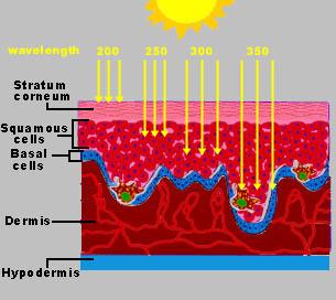 Opalování Znědnutí kůže nebo zčervenání obojí je poškození kůže způsobené UV zářením, ale jsou to odlišné procesy způsobené různými druhy UV záření.