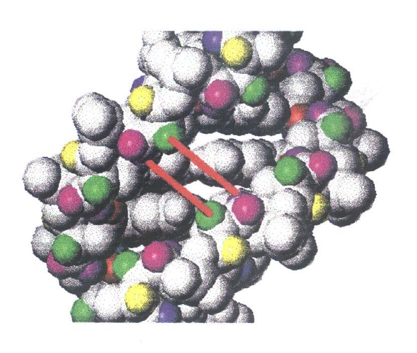 Výpočet produkce zlomů DNA Modelování DNA na obrázku jsou znázorněny atomy H4, H5