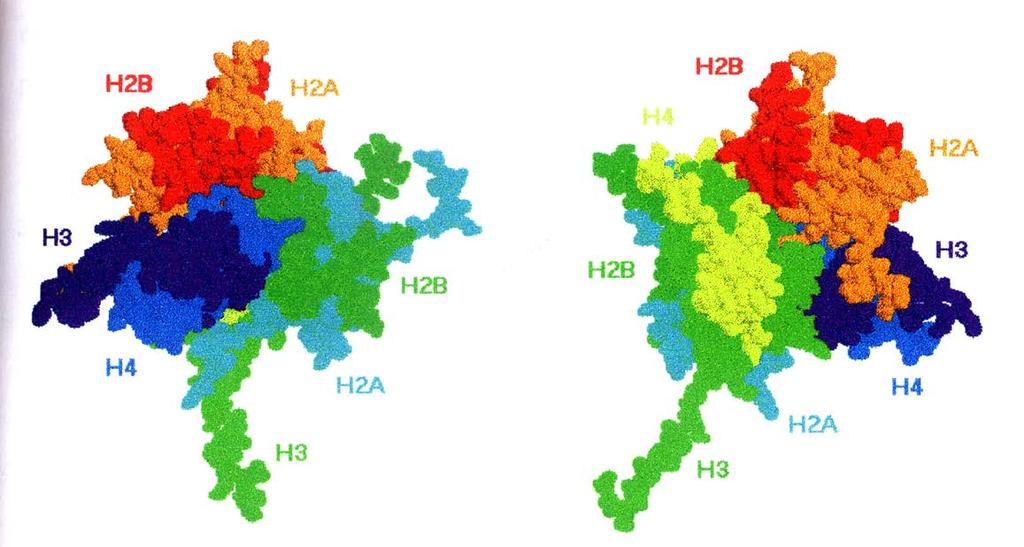 Výpočet produkce zlomů DNA Vznik zlomů DNA v komplexu s