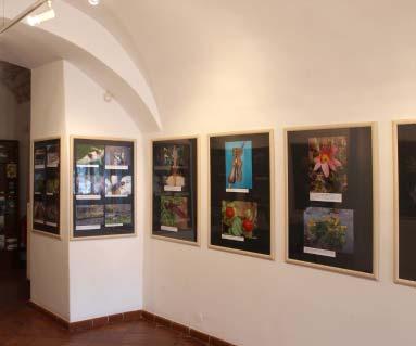 Dačeva.