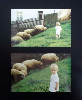 V nových prostorách Domu seniorů jsme vystavili fotografie Jiřího Šilera.