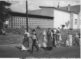 Fálčová Petra, Hájek Jiří, Braunsteinová Hana,