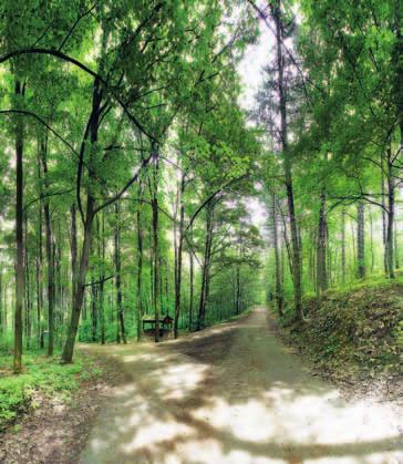 Aktivní odpočinek i příjemný klid Pozemky, na kterých je rezidenční čtvrť Botanica vybudována, leží na mírně svažité ploše orientované na jih.