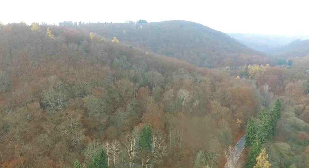 Přírodní rezervace U Výpustku O ohrožený druh SO silně ohrožený druh KO kriticky ohrožený druh Chráněné druhy přírodní rezervace ZVÍŘENA ROSTLINSTVO dřín obecný (Cornus mas) O batolec duhový (Apatura