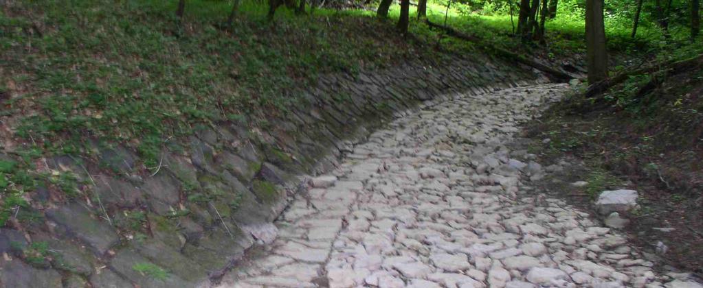 Stará vyskládaná zídka dřívější cesty, dnes v rezervaci Bohatá