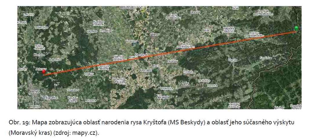V roce 2016 se v Moravském krasu objevila vzácná šelma rys ostrovid (Lynx lynx), která