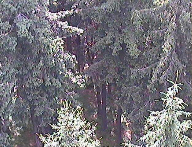 31 C 21,3 C