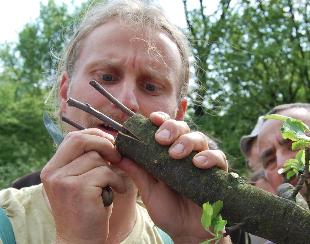 Environmentální princip zohledňování environmentálních aspektů výroby i spotřeby - formulované zásady šetrného úřadování a provozu (vnitřní