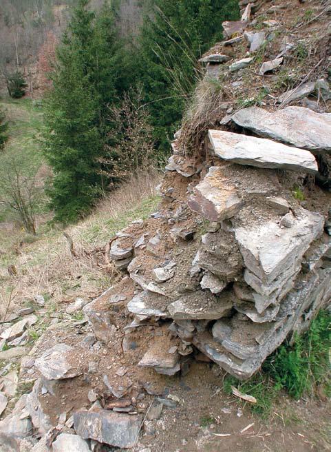 Obr. 24. Okrouhlé Hradiště, zřícenina hradu Gutštejna. Severní hradba východní části hradního jádra, pohled od jihozápadu. Detail zdiva v proluce před opravou. (Foto P. Sokol, 2006) Obr. 25.