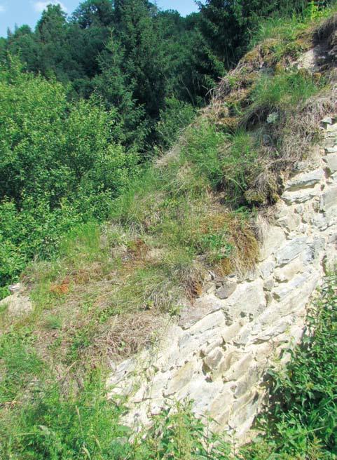 Sokol, 2012) zděnými konstrukcemi.35 Hrad byl vystavěn z místní břidlice.