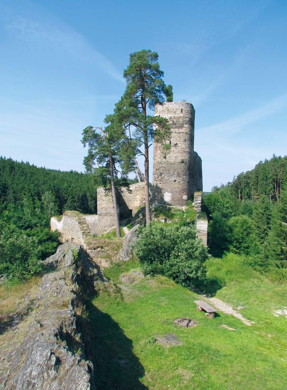Obr. 1. Okrouhlé Hradiště (okres Tachov), zřícenina hradu Gutštejna. Celkový pohled ze severovýchodní strany.