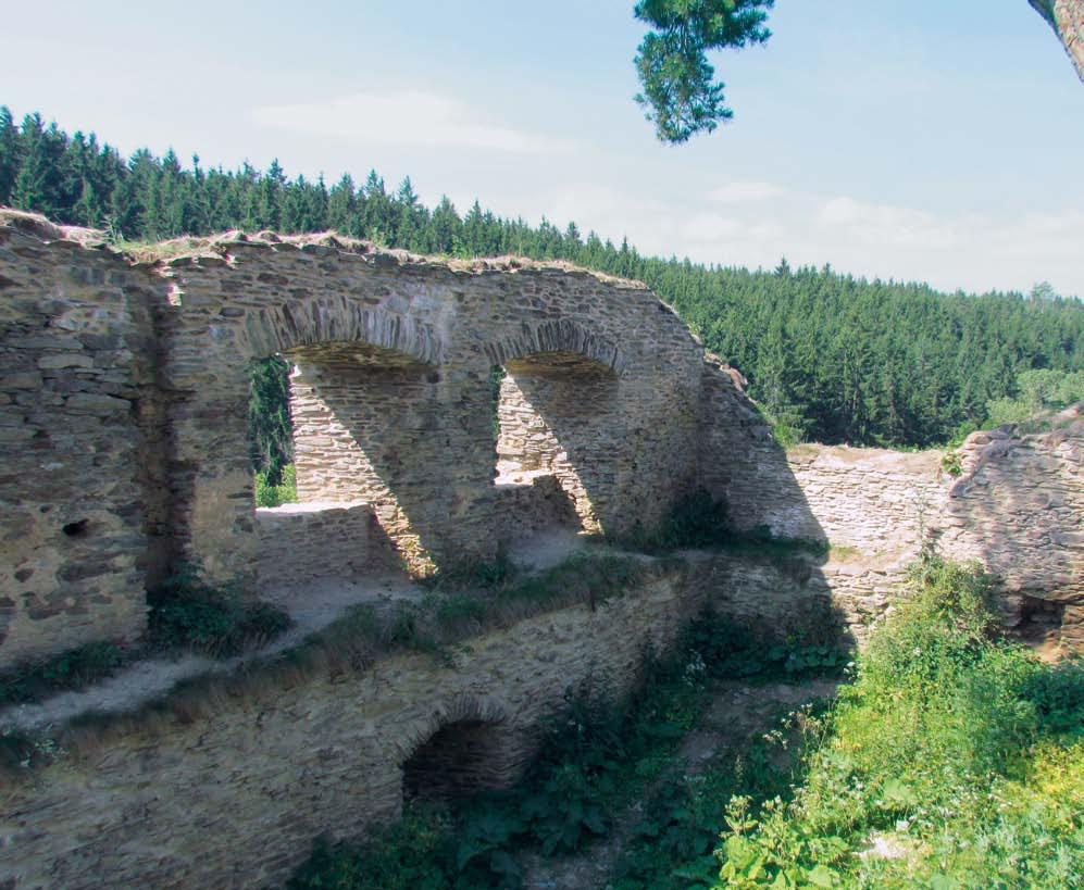 stav zbytku hradu označil jako špatný. Došlo i na zaměření historické cesty z údolí směrem na hrad.