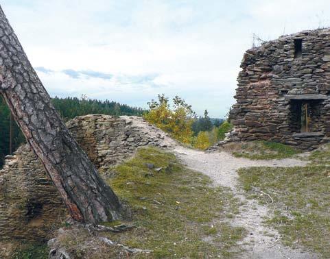 akutně ohroženy pokračující destrukcí, tedy především poškozených či již destruovaných záklenků a špalet okenních a dveřních otvorů, zeslabujících tak celé úseky zdí.