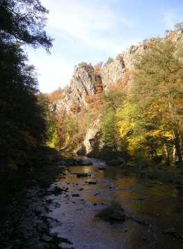 krajů Vysočina a kraje Jihomoravského.