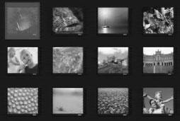 Ovládání disku Přehrávání foto CD (prezentace slide show) DŮLEŽITÉ! Je třeba zapnout televizor a přepnout jej na odpovídající video vstup (viz strana 18 Nastavení televizoru ).