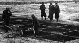 Z objektů jsou vybudovány pouze propustky a kanalizace. Od Lazů probíhá dálnice až po úroveň obce Chornice víceméně po vrstevnici úbočím hory Hušák (626 m n. m.).