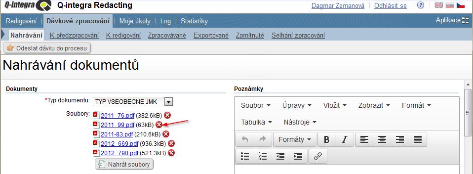 Po odeslání dávky do procesu jsou dokumenty automaticky předpřipraven k anonymizaci. Předzpracování dokumentů probíhá zpravidla přes noc.