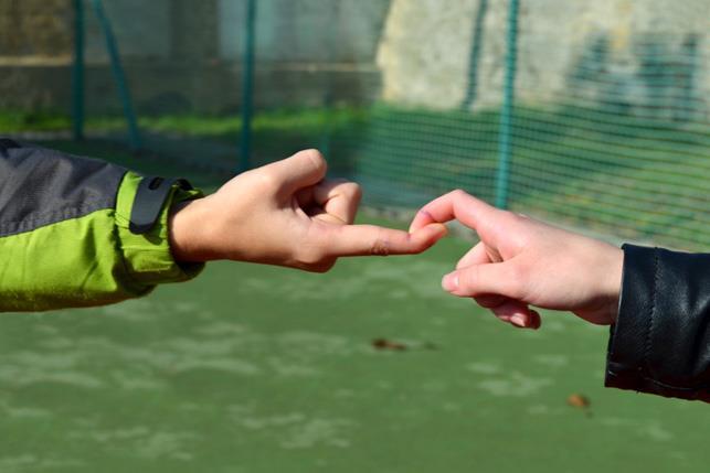 1. ORGANIZAČNÍ STRUKTURA A ČLENSKÁ ZÁKLADNA Salesiánské kluby mládeže, z. s. jsou spolkem zapsaným v rejstříku spolků u Městského soudu v Praze pod spisovou značkou L 7589.