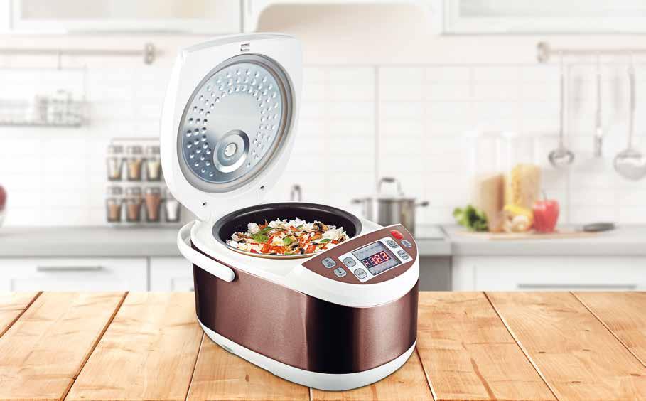 Multifunkční hrnce MH 910 Delizioso Multifunkční hrnec CZ 10 přednastavených