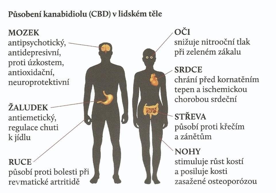 11 Parafarmaka a zdravotnické prostředky Parafarmaceutika (parafarmaka) jsou neléčiva. Nemají kód SÚKLu nebo Ústavu pro státní kontrolu veterinárních biopreparátů a léčiv.